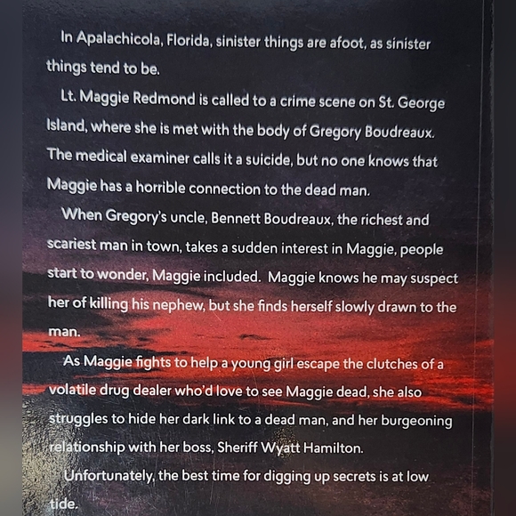 The Forgotten Coast Series (10 books) by Dawn Lee McKenna - Suspense - Picture 4 of 16